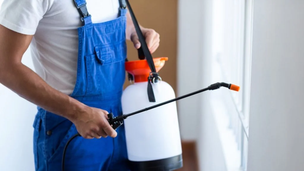 شركة مكافحة حشرات موثوقة بالرياض